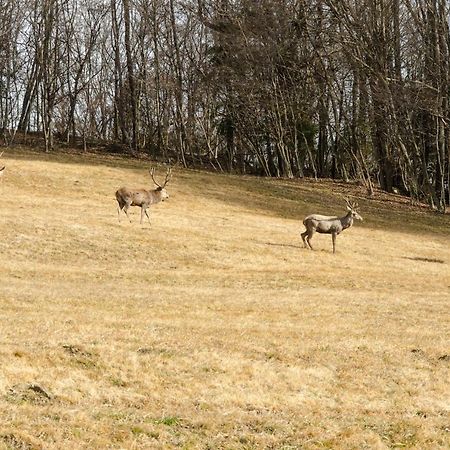 La Risorta Apartman Cesiomaggiore Kültér fotó